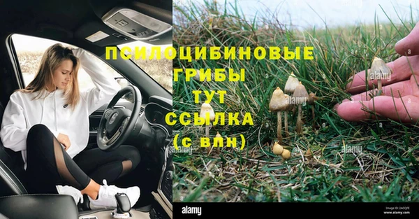 дурь Беломорск
