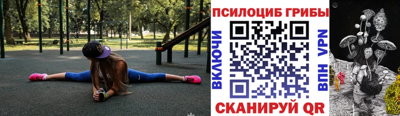 ОМГ ОМГ рабочий сайт  Юрьевец  Псилоцибиновые грибы Psilocybe 